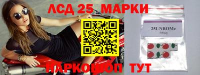хмурый Новозыбков