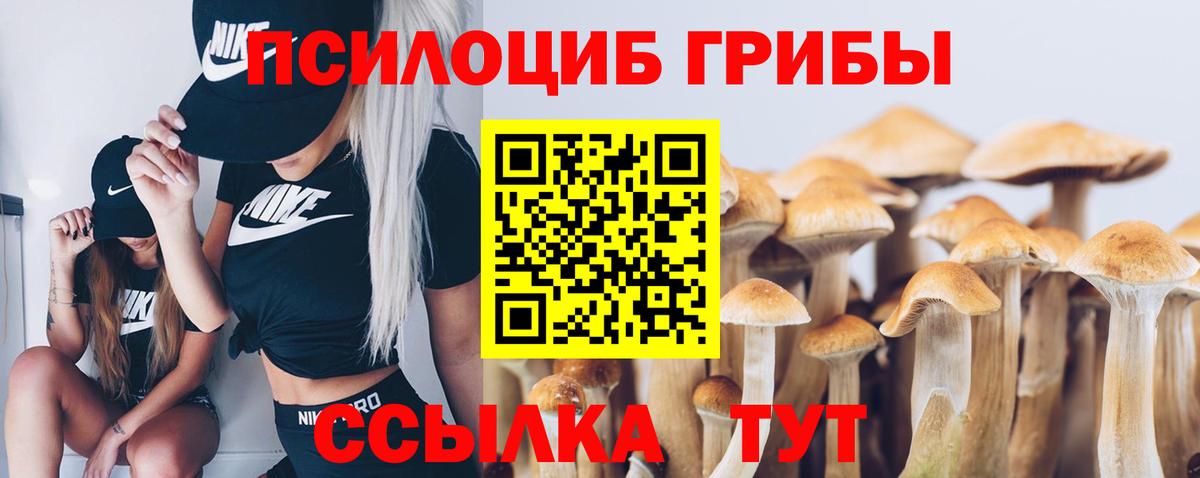 Псилоцибиновые грибы Psilocybe Сочи